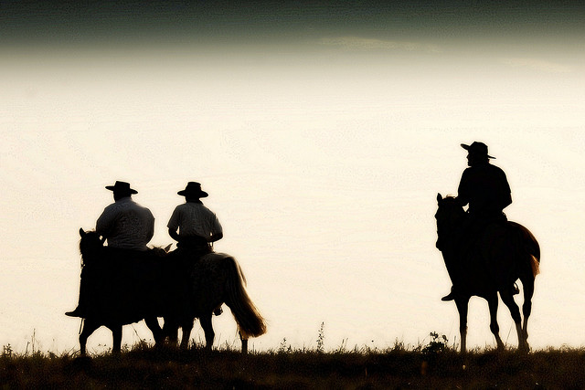 סוס לרכב עליו, תמונה Eduardo Amorim