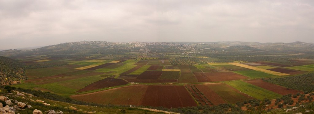 וַיִּשְׁמַע רְאוּבֵן, וַיַּצִּלֵהוּ מִיָּדָם