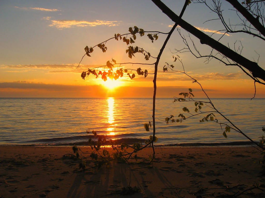 וַחֲמֻשִׁים עָלוּ בְנֵי-יִשְׂרָאֵל, מֵאֶרֶץ מִצְרָיִם