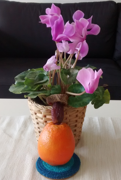 עולמות ופירות, או כיצד מסתתר שמו יתברך בפירות שאנו אוכלים