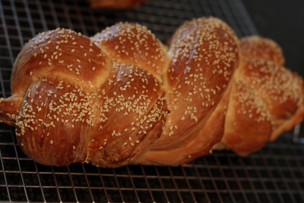 הִנָּךְ יָפָה רַעְיָתִי, הִנָּךְ יָפָה--עֵינַיִךְ יוֹנִים, מִבַּעַד לְצַמָּתֵך