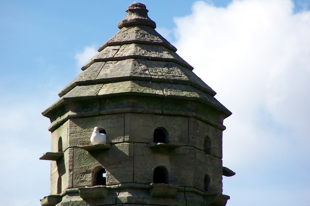 זהר פרשת לך לך