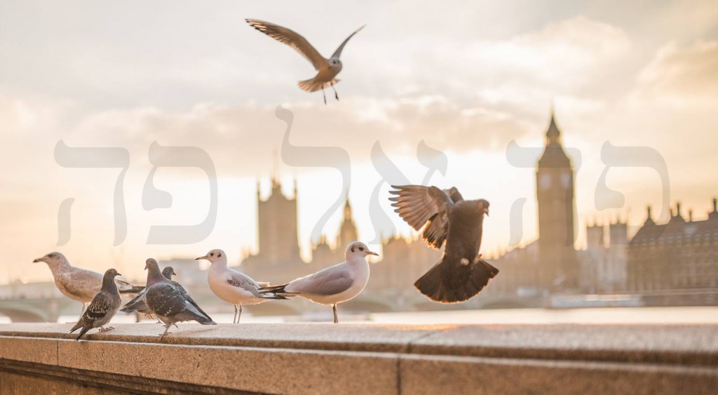 מדוע נהוג ללמוד קבלה מאדם, ולא רק מספר?