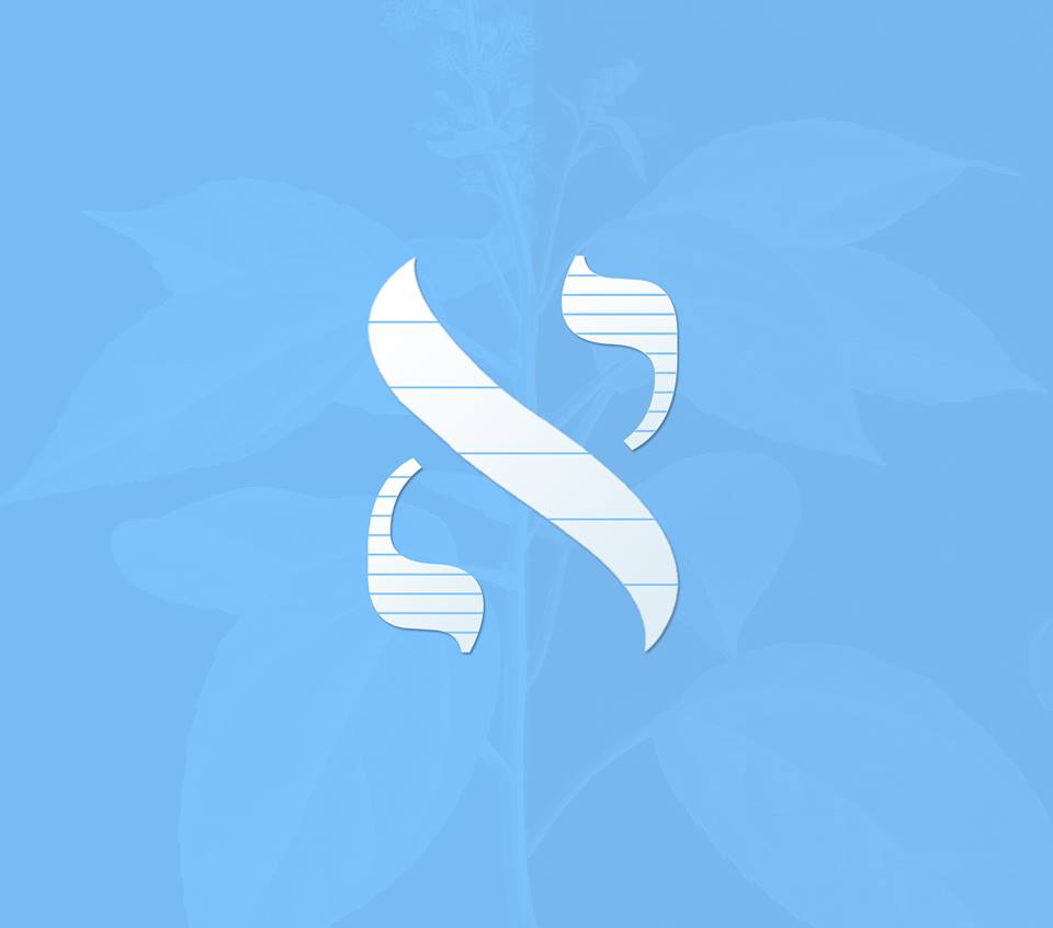 חוכמת הניתוח, אלופו של עולם בונה משכן