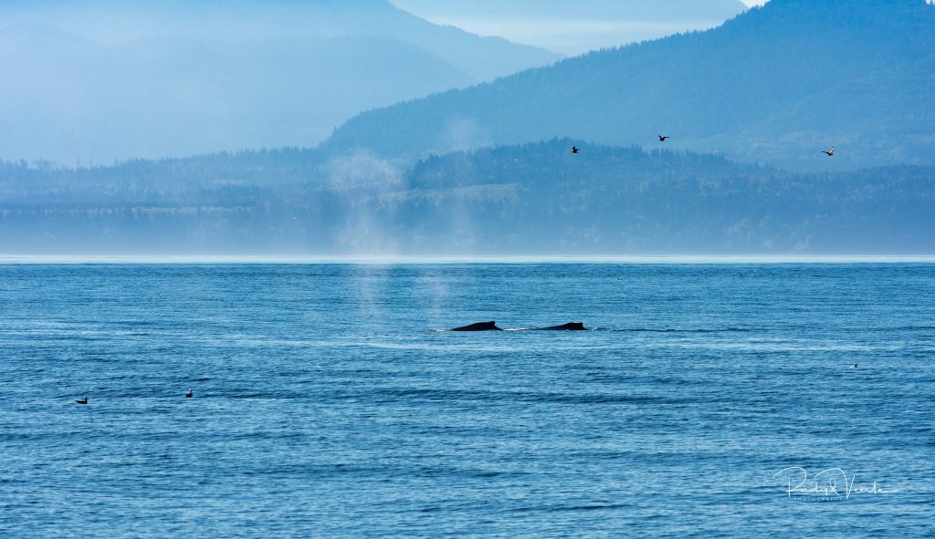 על מהות הקשר שבין האמת לאדם תיקוני זהר