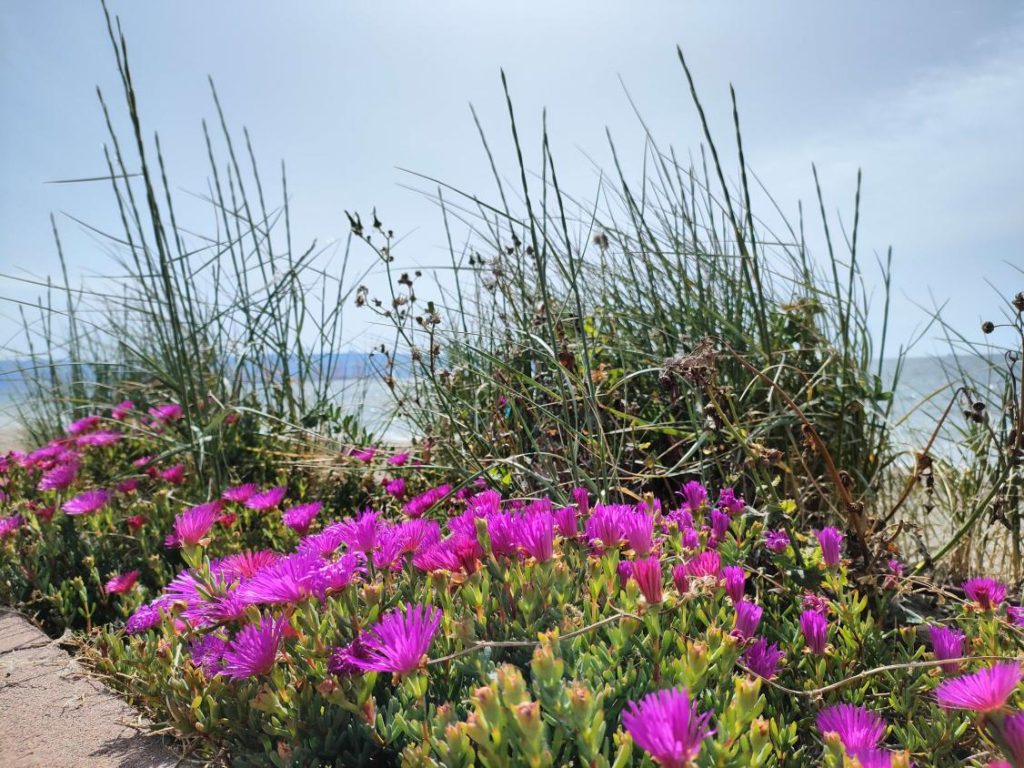 שִׁיר שֶׁל יוֹם בָּהִיר