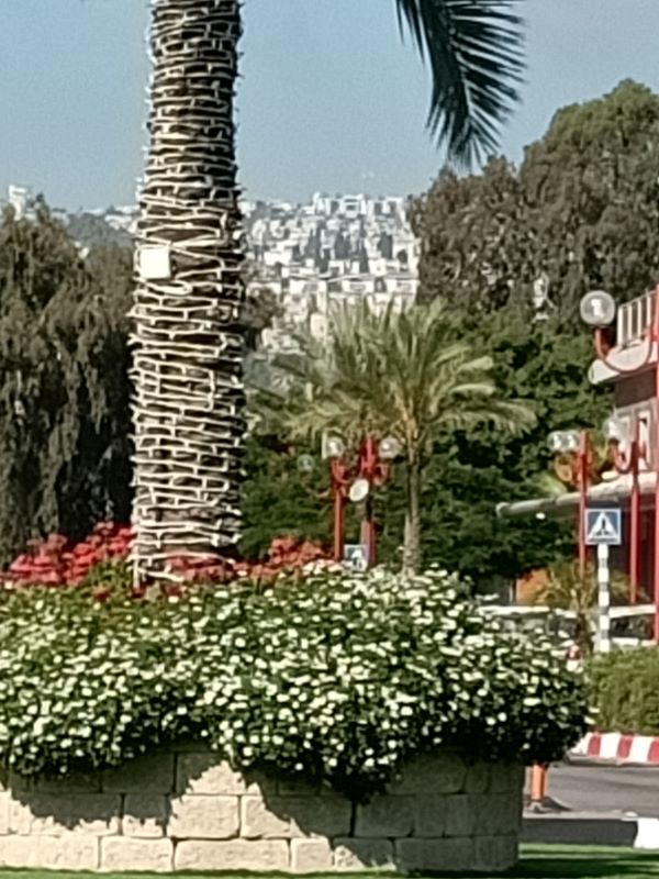 הַרְגָּשָׁה