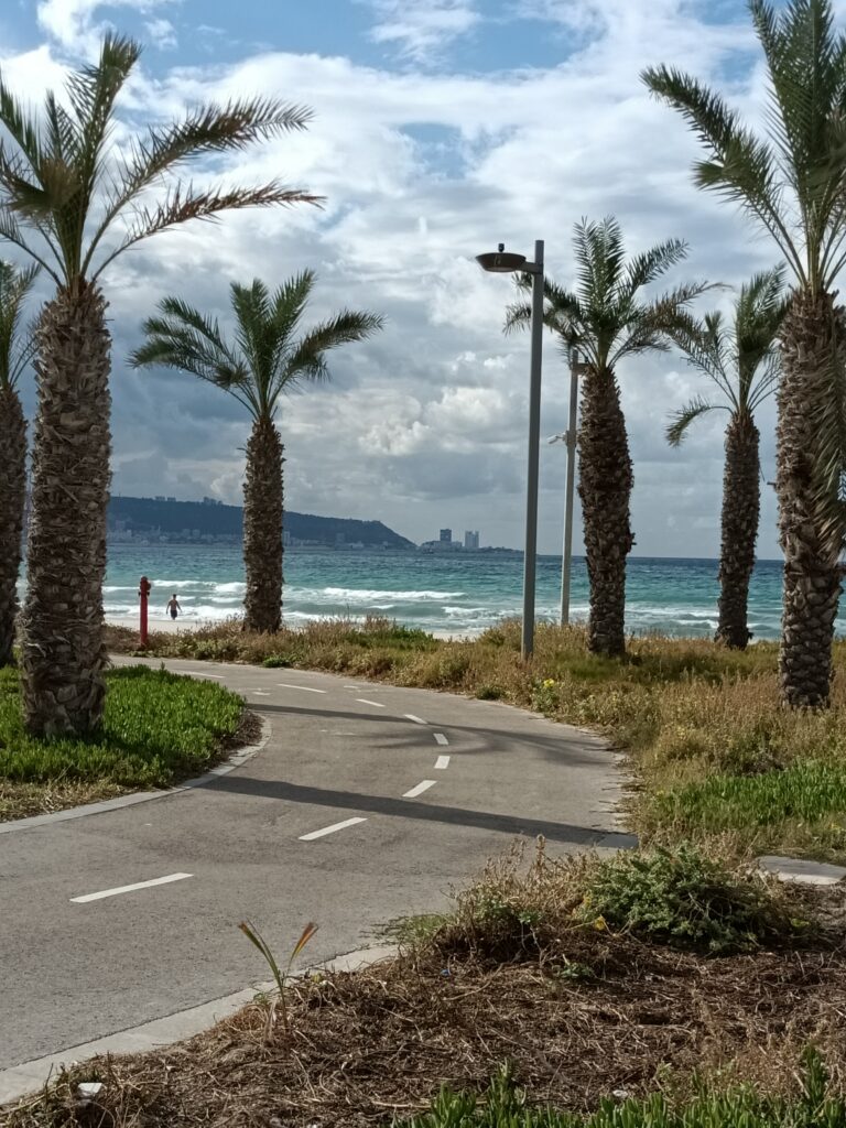 יוֹם שֶׁל דֵּצֶמְבֶּר