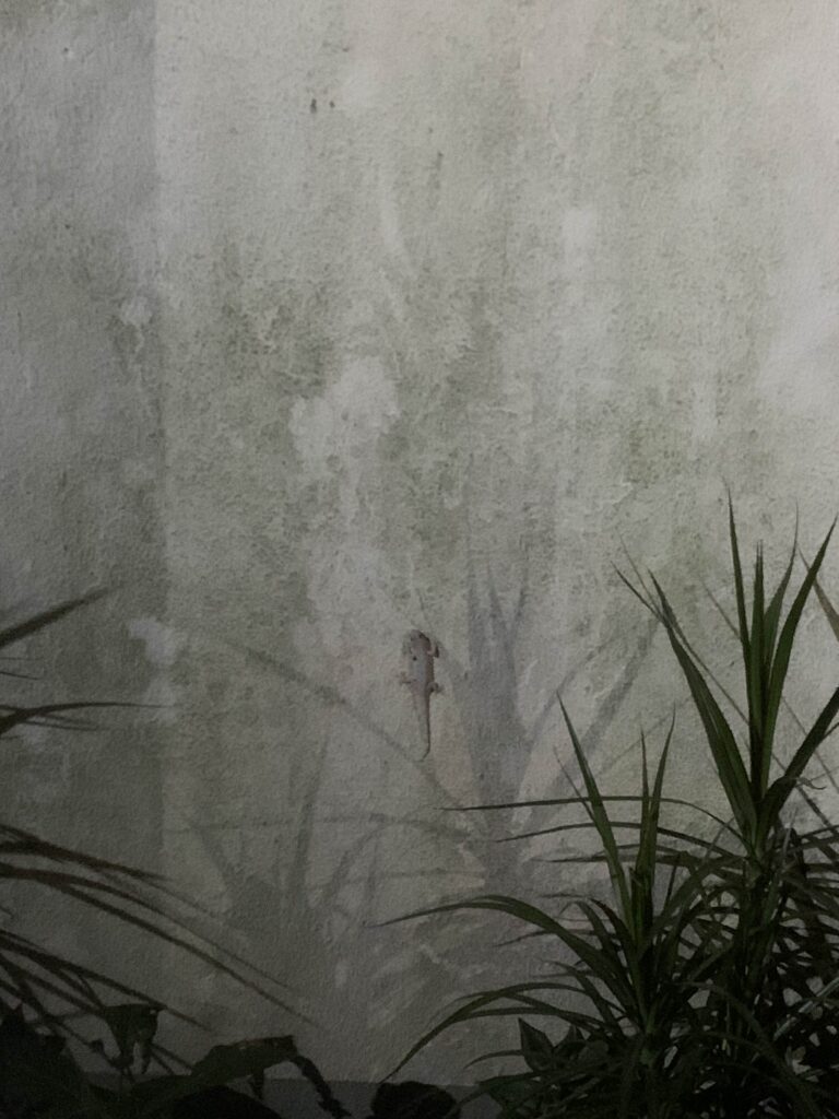 וְנִסְתְּרָה הַנְּשָׁמָה בְּתוֹךְ הָרְבָבָה