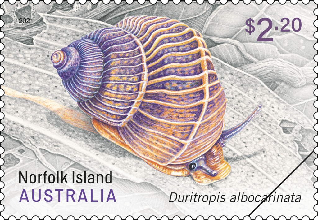 וְהַמִּלְחָמָה - גָּנְבָה אֶת הַסְּתָו