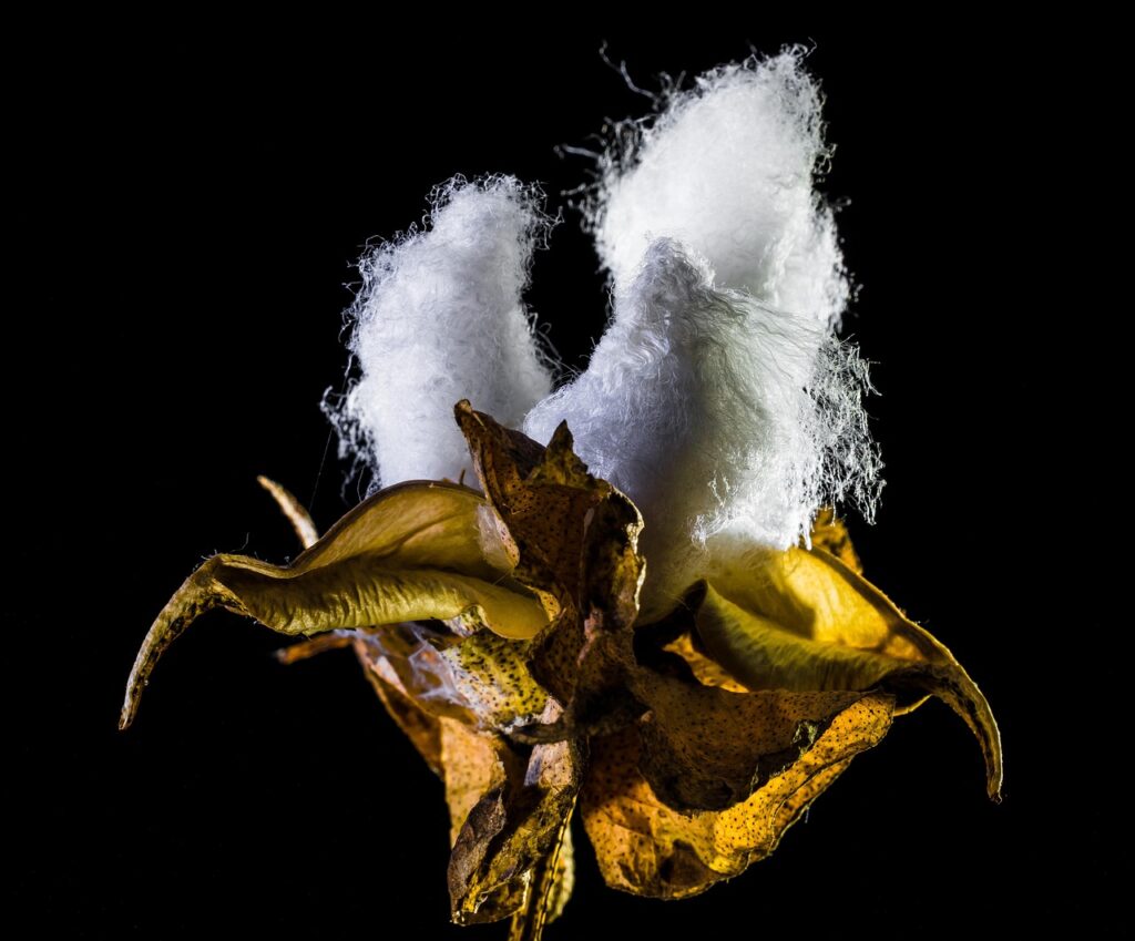 וְהַמַּחְשָׁבָה הִיא עֶצֶם