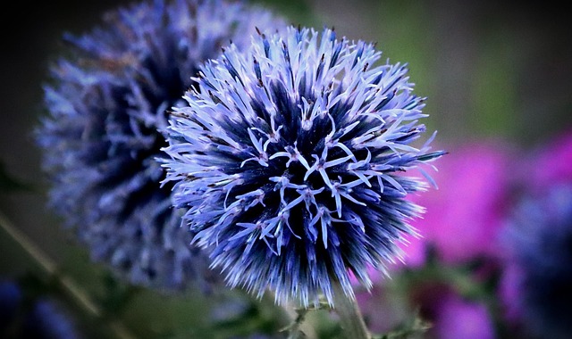 וּבִקְצֵה הַגָּלַקְסְיָה יֵשׁ שֶׁמֶשׁ אֵיתָן