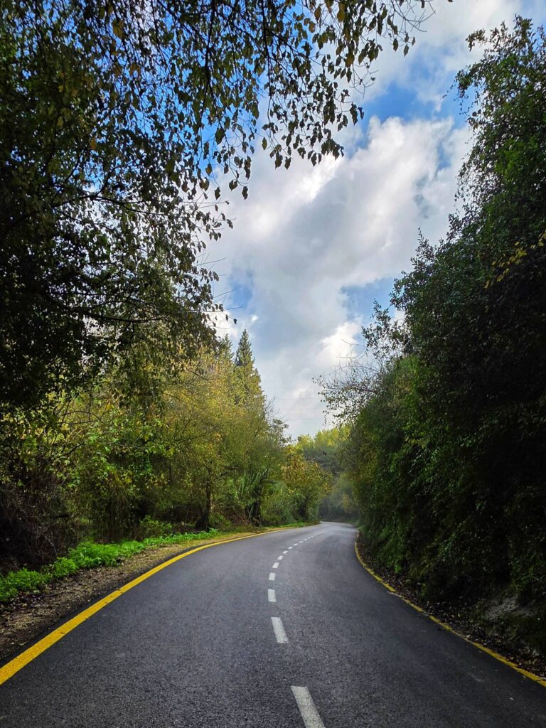 תּוּכַל לְהַצְדִּיעַ לַלַּיְלָה