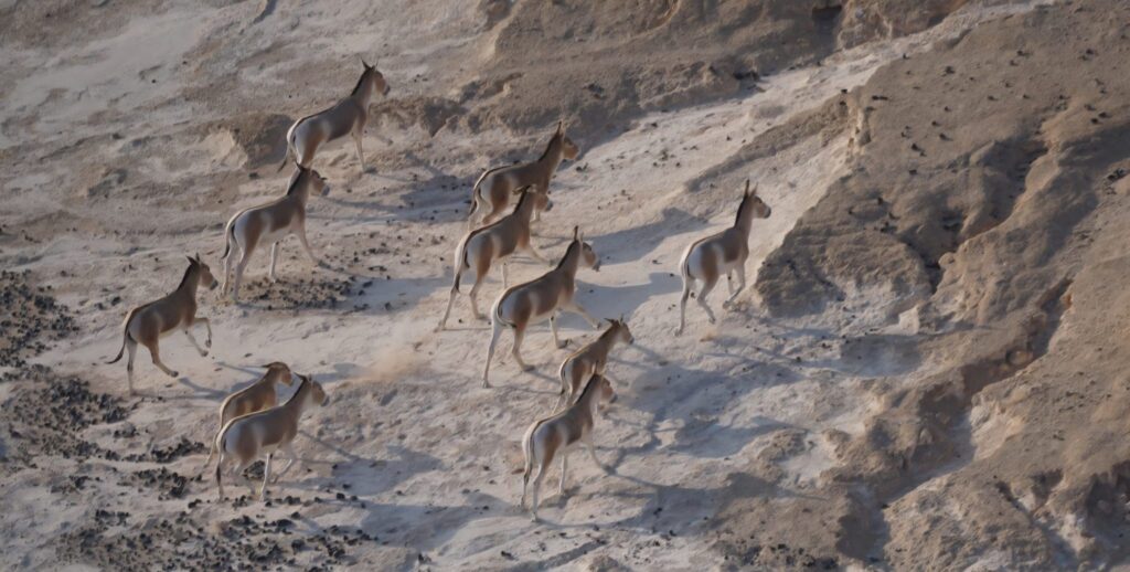 וְכָךְ נוֹלַד יִצְחָק