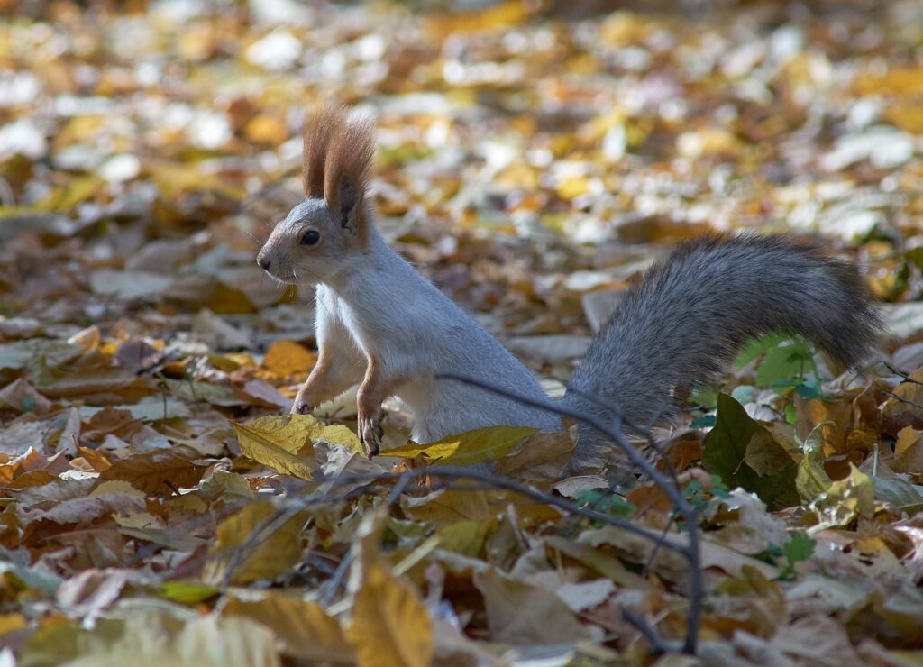 וְלֹא יָדַעְתִּי מָה הַשָּׁעָה