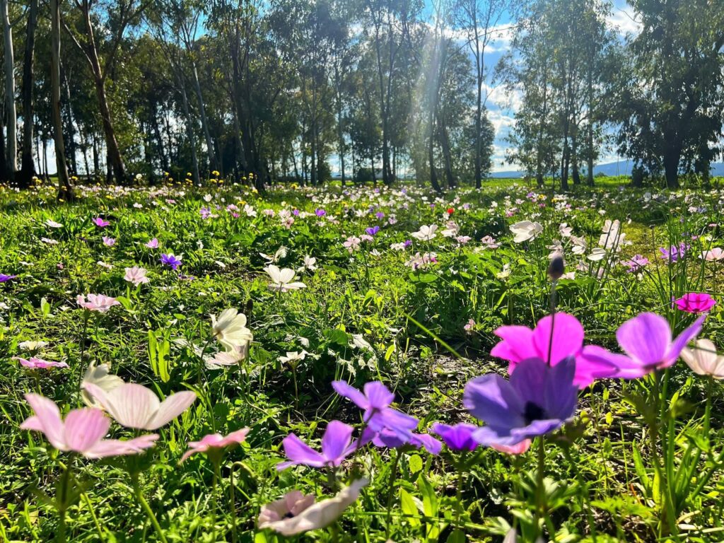 הוּא שֶׁנֶּעֱלַם מִכָּל צֶלֶם