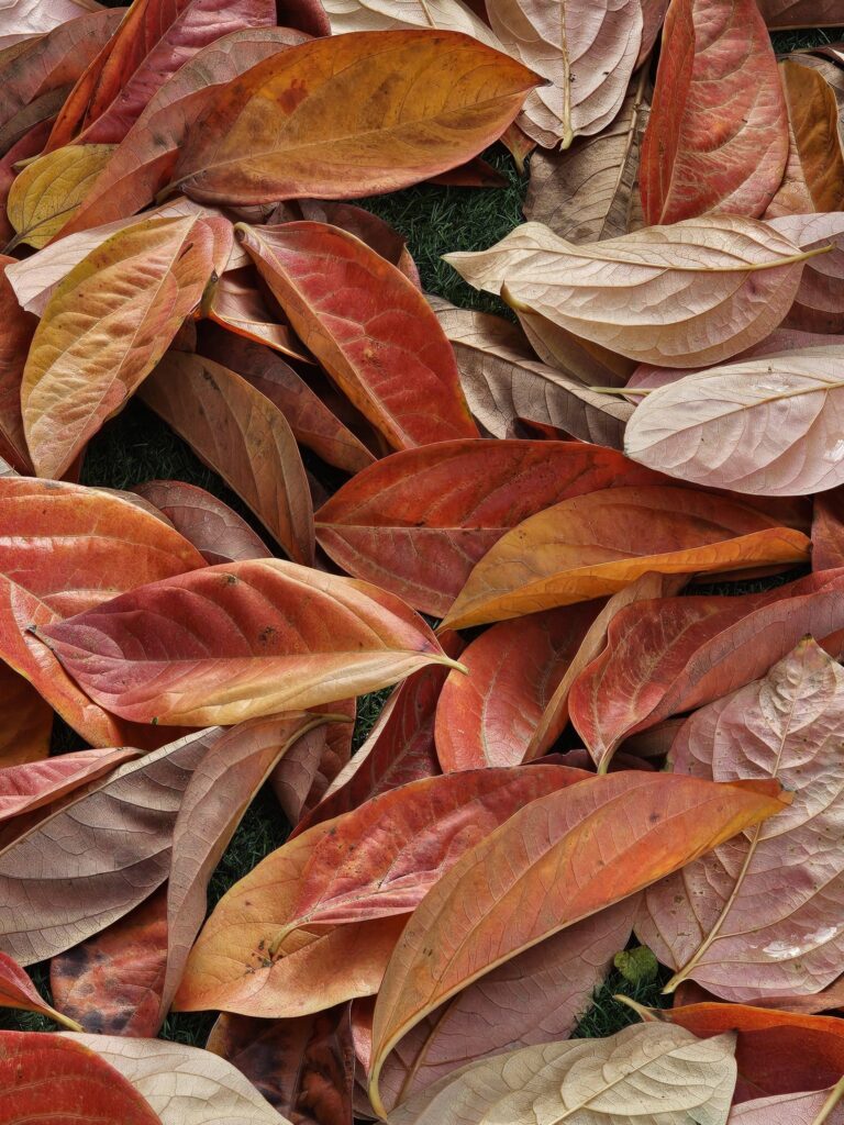 לָשֶׁבֶת מוּל שְׁקִיעָה