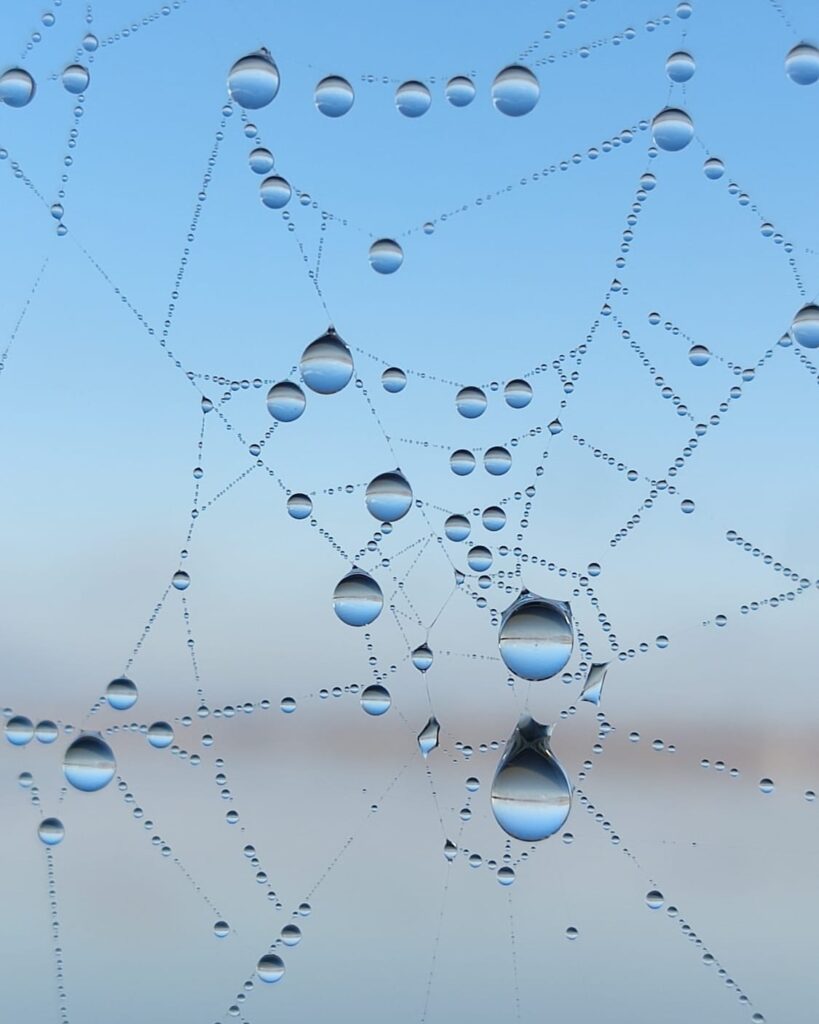 וְיֵשׁ טִפּוֹת שֶׁל מַיִם